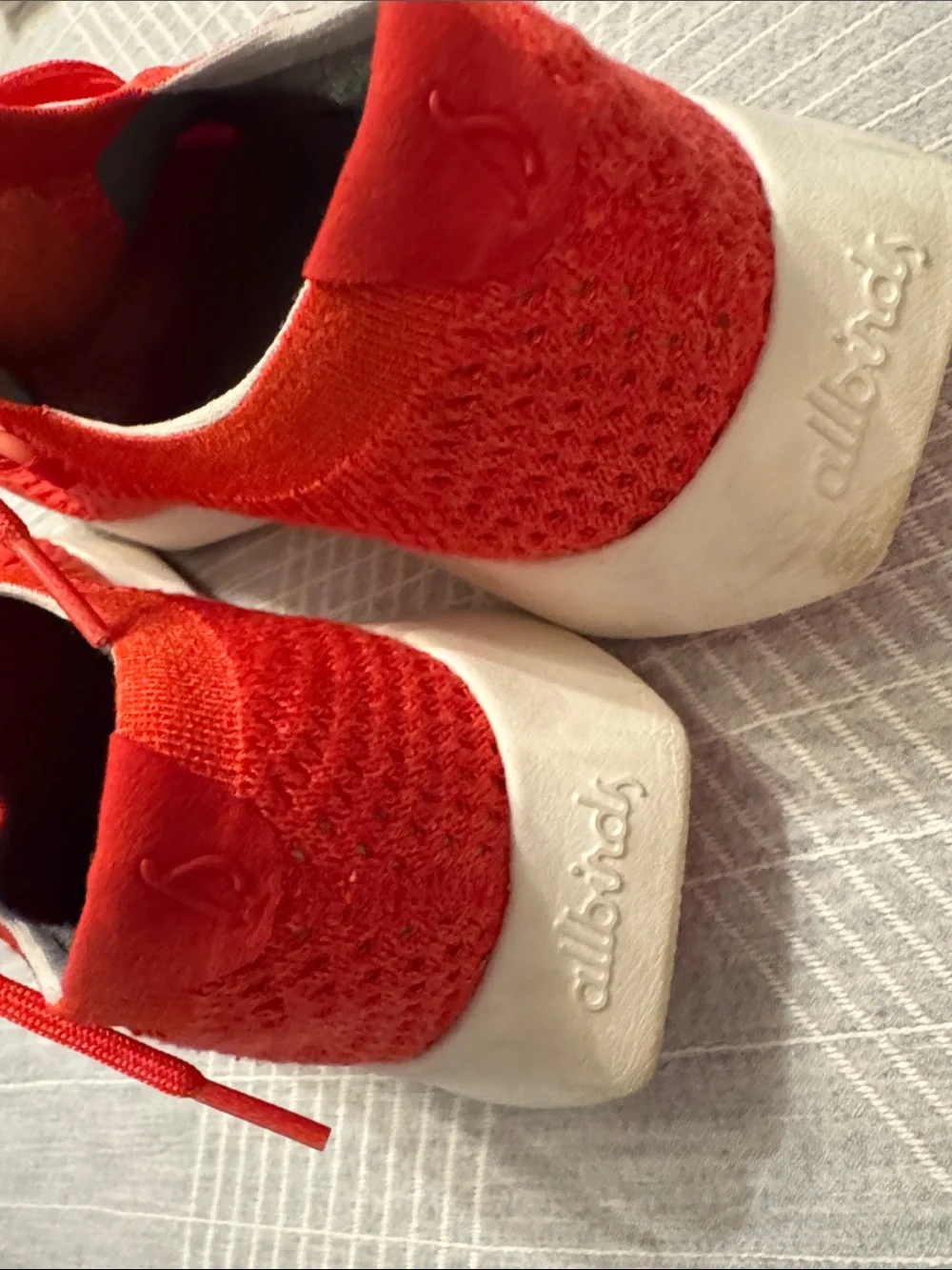 allbirds Women's Tree Dasher 2 Knit Sneaker — Bright Red